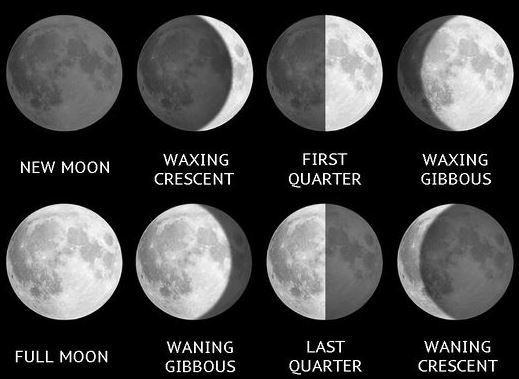 0020_20200930_1322_Phases of the moon.jpg